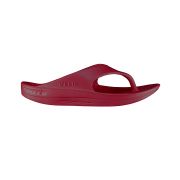 Telic Energy Flip-flop