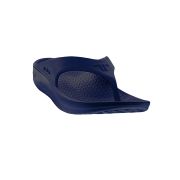 Telic Energy Flip-flop