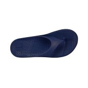 Telic Energy Flip-flop