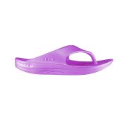 Telic Energy Flip-flop