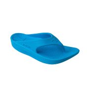 Telic Energy Flip-flop