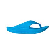 Telic Energy Flip-flop