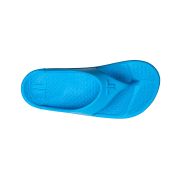 Telic Energy Flip-flop