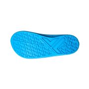 Telic Energy Flip-flop